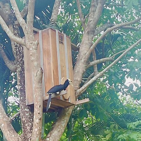Najjamee Bungalows Ko Yao Noi Exteriér fotografie